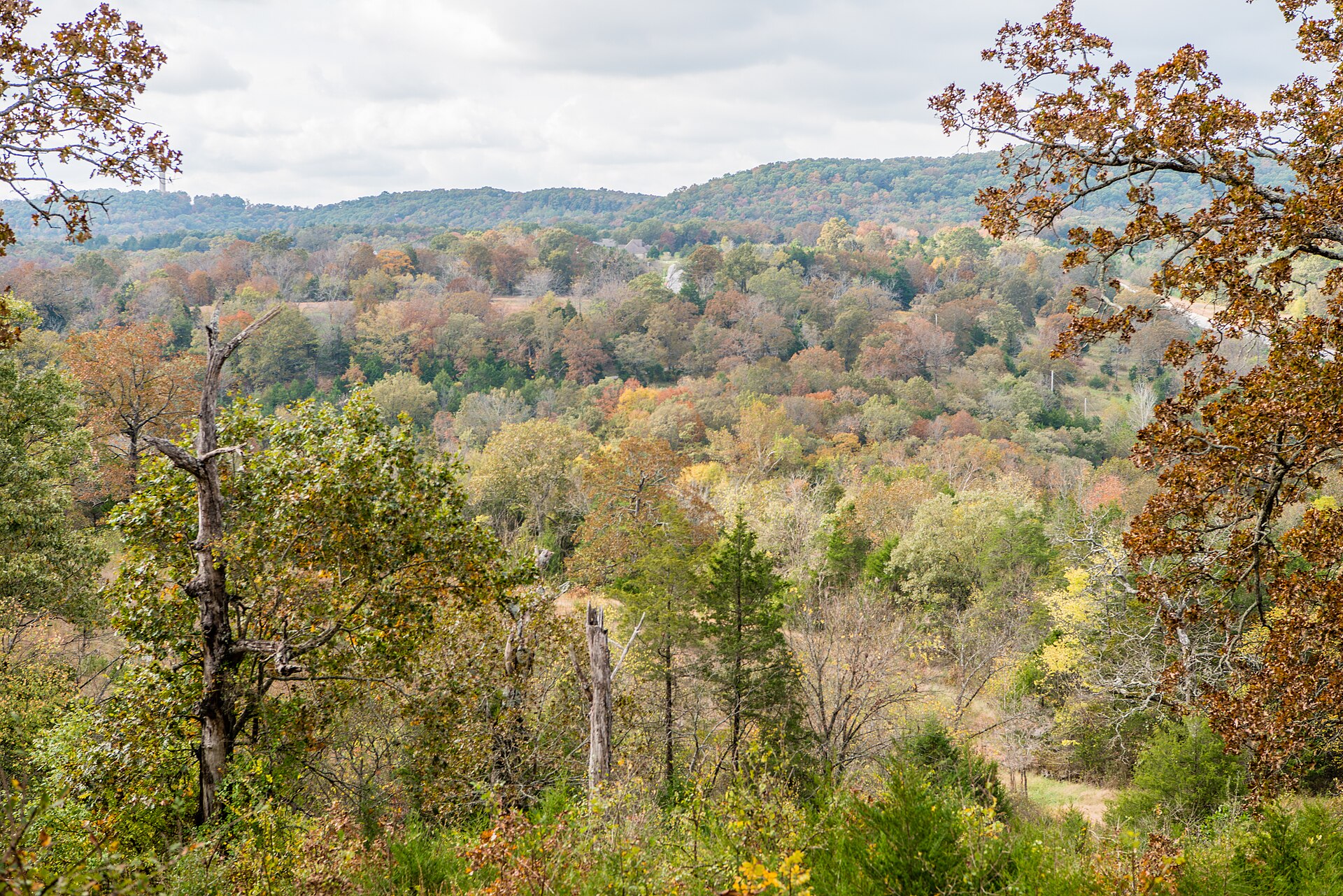 A green Ozark landscape at Shepherd of the Hills State Park